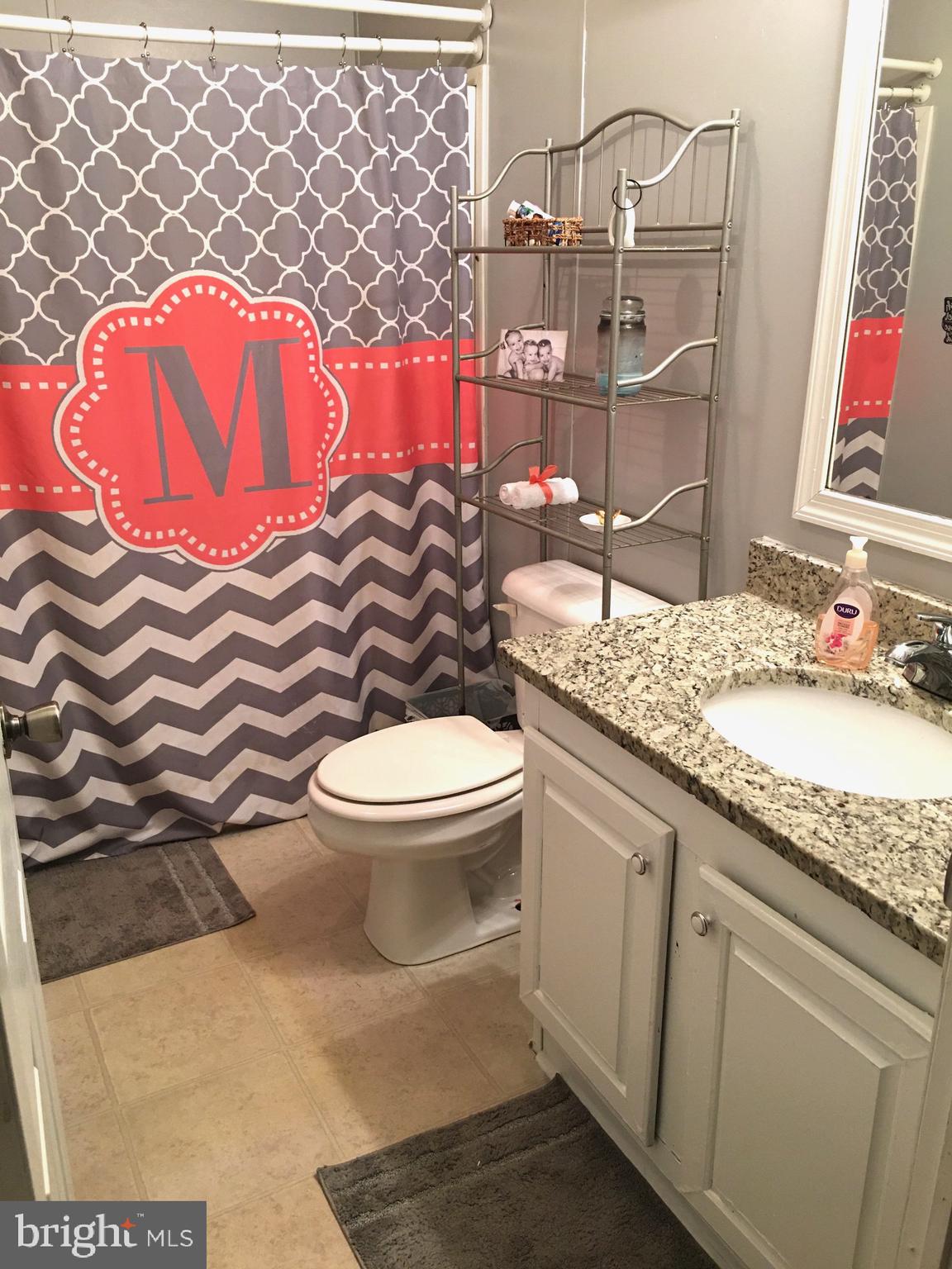 31425 Russel Road Locust Grove, VA 22508 - Photo 8 of 18 Full Bathroom