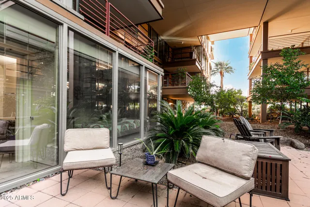 a view of a patio with couple of chairs and a potted plant