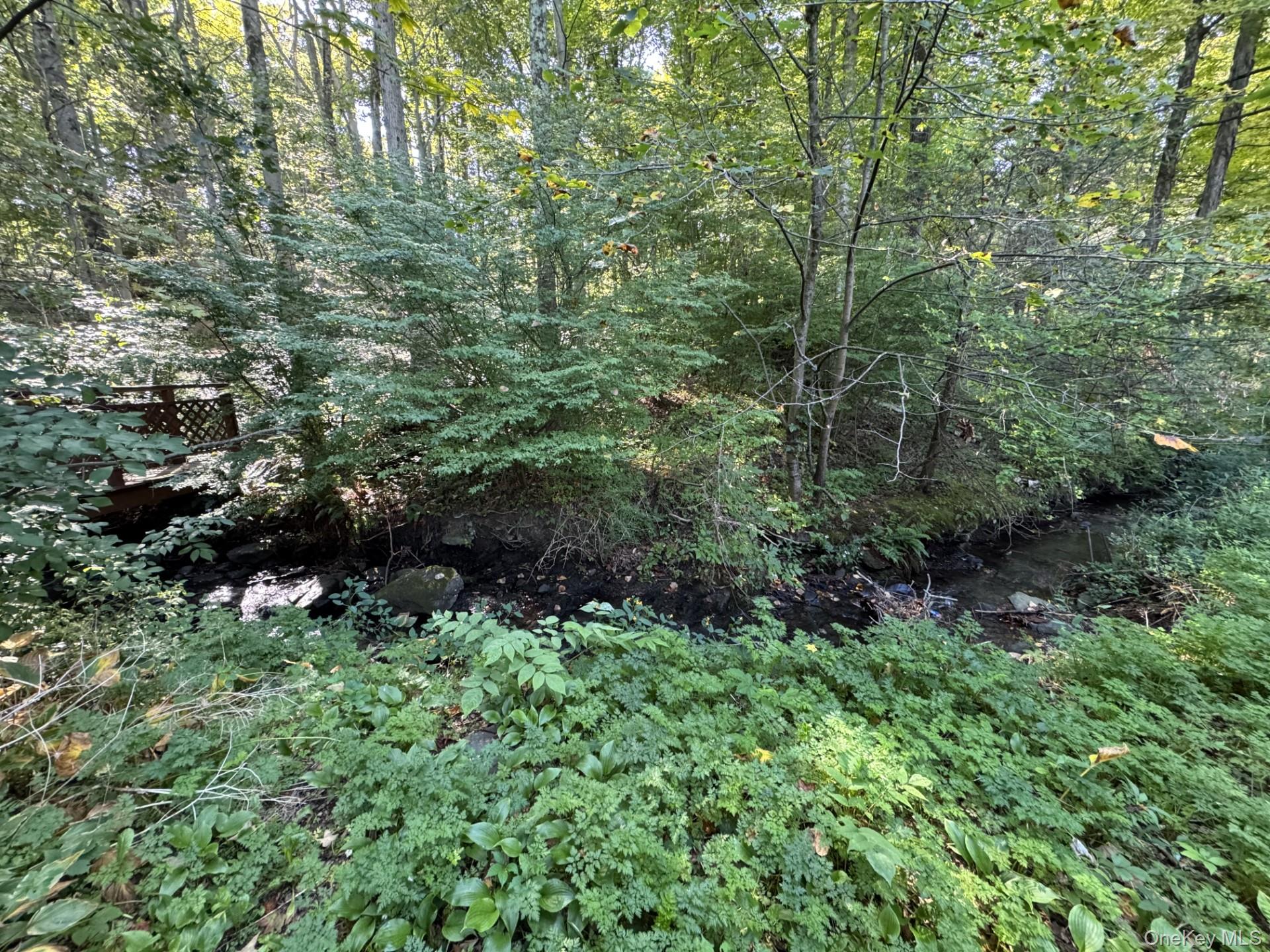 3 River Road Hyde Park, NY 12538 - Photo 10 of 10 woods and flowing stream