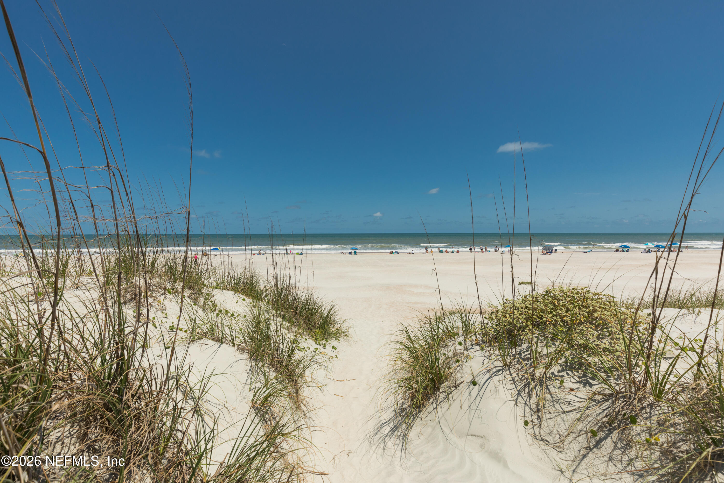 233 Falcon Ridge Road St. Augustine, FL 32084 - Photo 28 of 34
