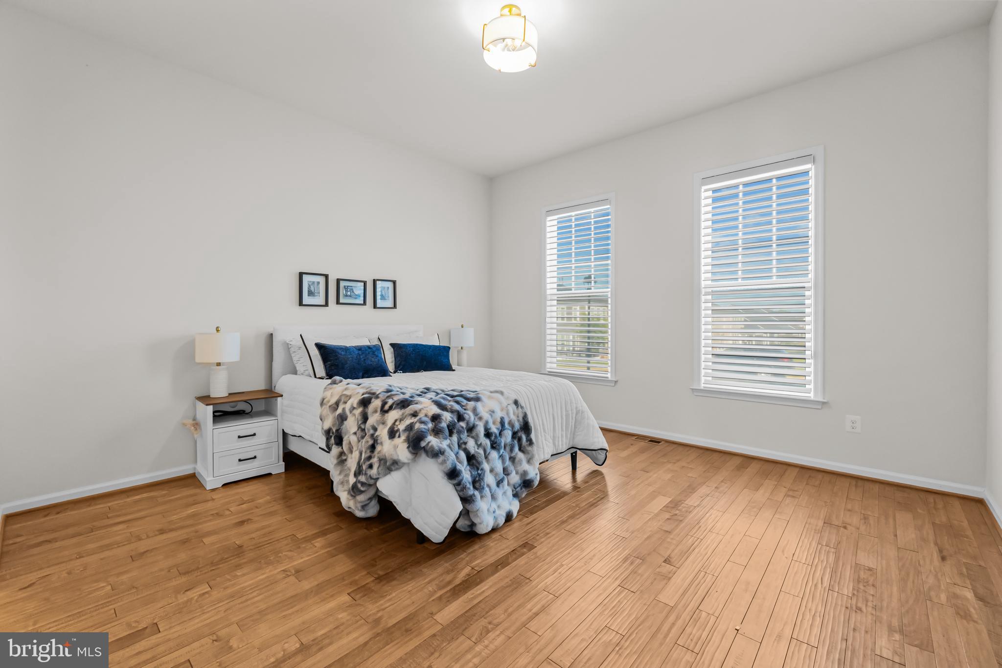 1122 Laconian Street Southeast Leesburg, VA 20175 - Photo 10 of 54 Bedroom 2 suite on Main level