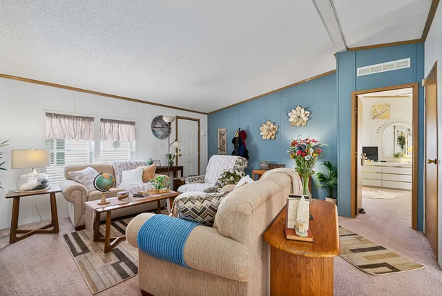 a living room with furniture and a potted plant