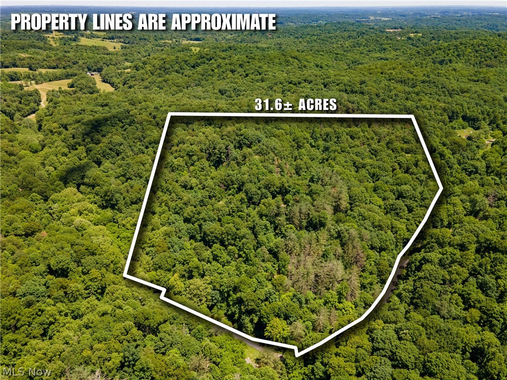 0 Long Hollow Road Pomeroy, OH 45769 - Photo 29 of 31