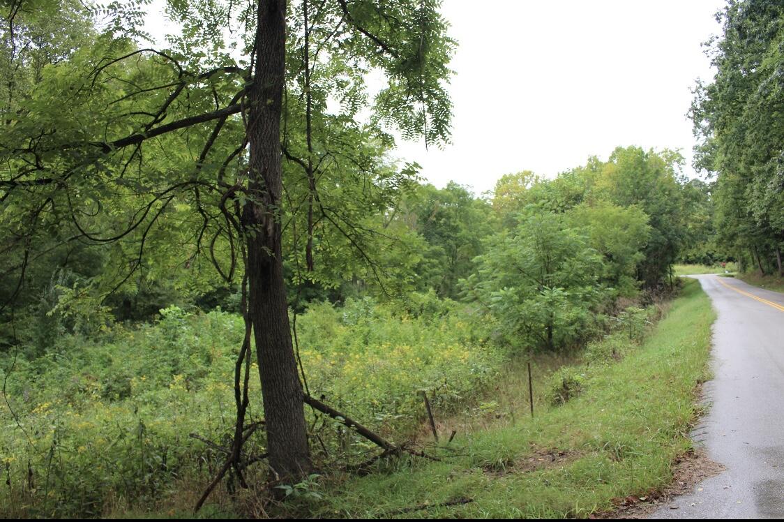 0 Langnau Road London, KY 40741 - Photo 5 of 10 552B9FD1-1E07-4617-BDBA-E60F8B837180