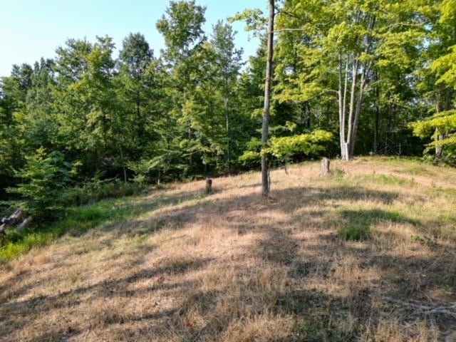 0 Lycans Branch Road Ona, WV 25545 - Photo 1 of 12 Gallery Image 1