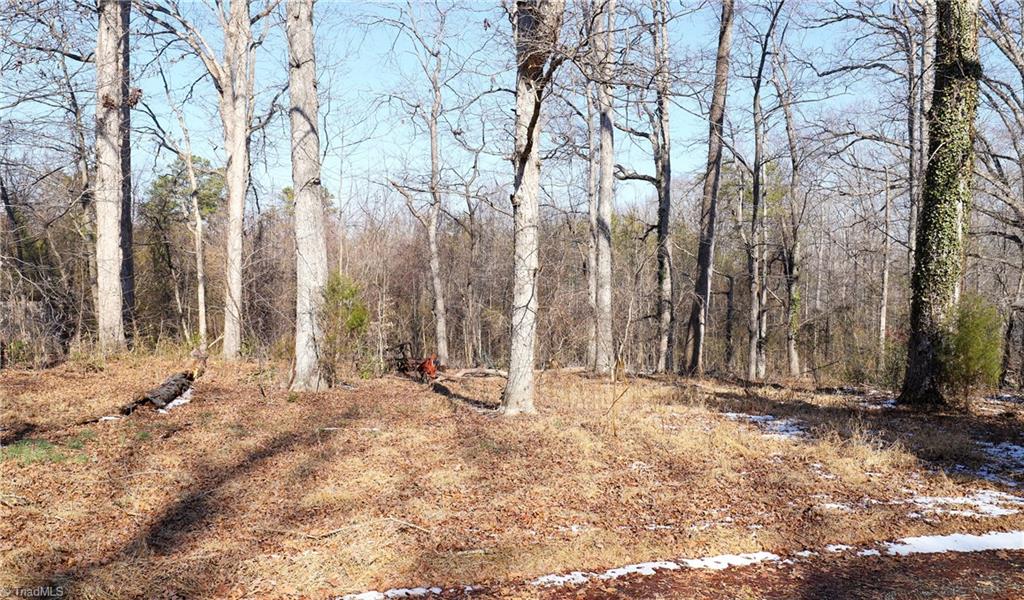 2669 Wagon Trail Road Pfafftown, NC 27040 - Photo 16 of 24