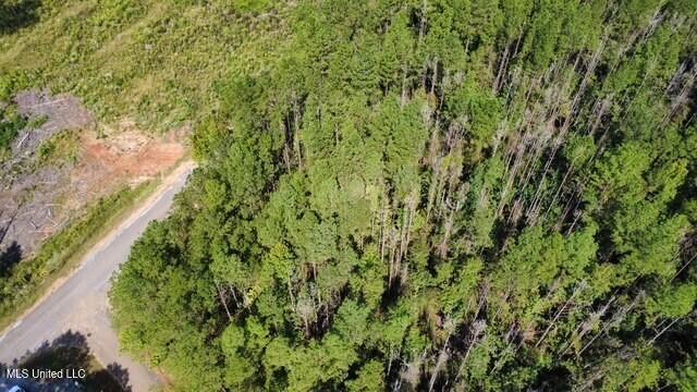 5464 A Pecan Orchard Road Liberty, MS 39645 - Photo 8 of 14 thumbnail_IMG_1538