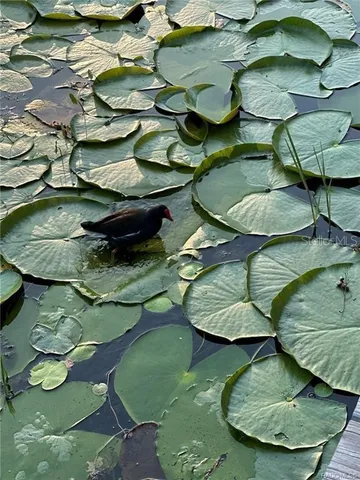 a view of a lake view