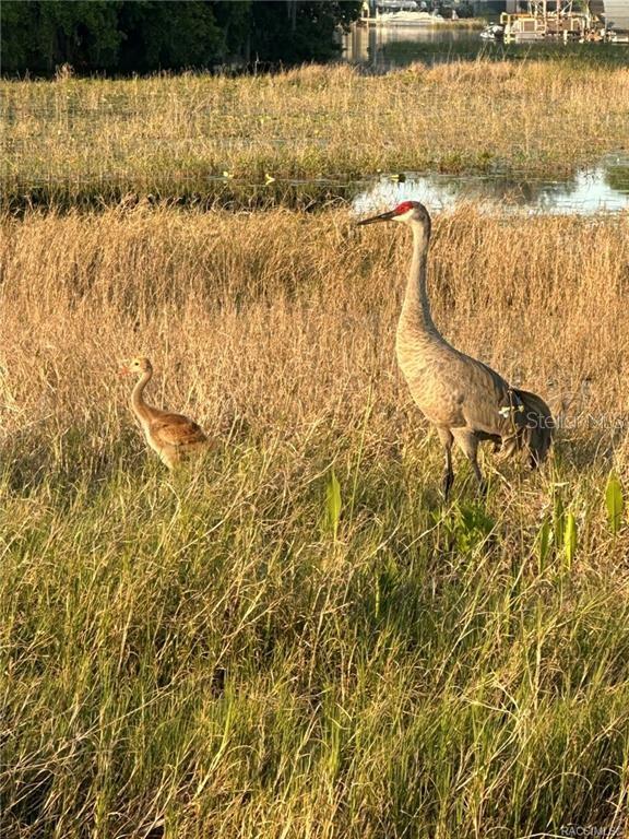 4010 East Dandy Loop Hernando, FL 34442 - Photo 26 of 30 a view of a lake view