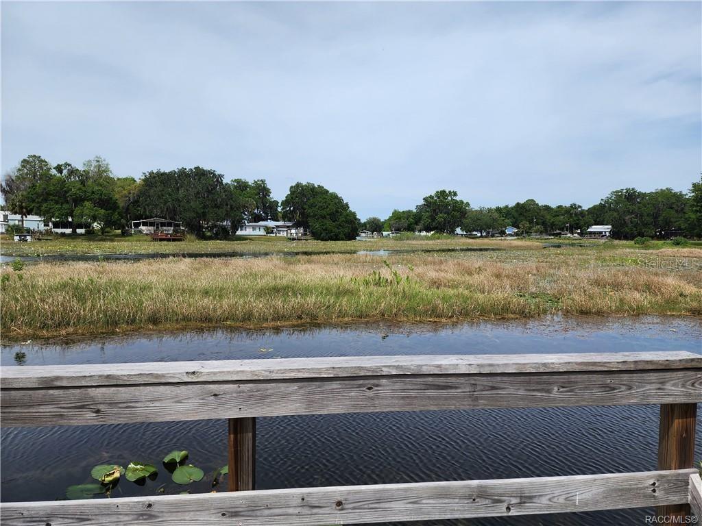 4010 East Dandy Loop Hernando, FL 34442 - Photo 29 of 30 a view of lake and mountain