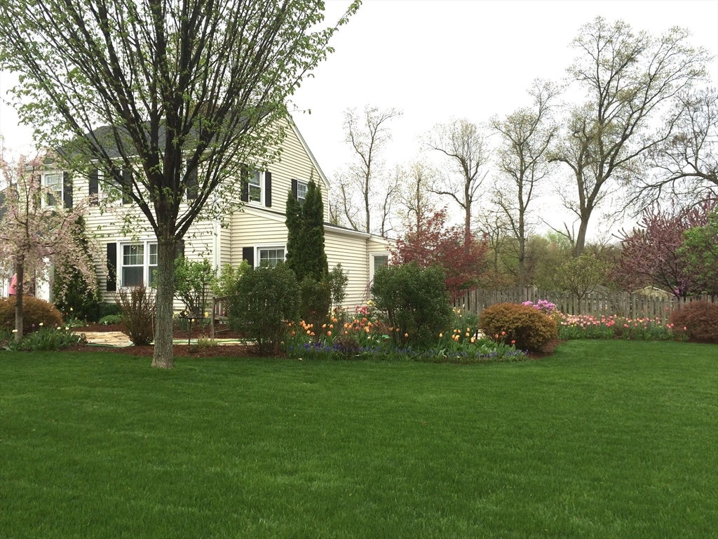 55 Chesterfield Avenue Springfield, MA 01118 - Photo 3 of 42 Gallery Image 3