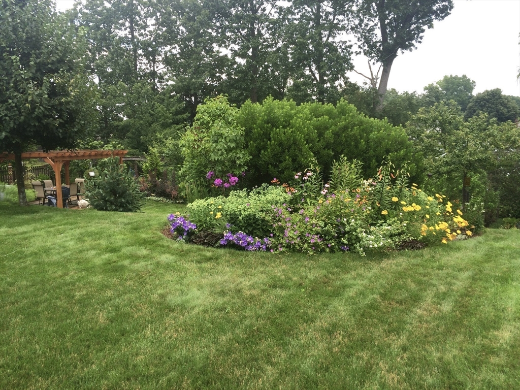 55 Chesterfield Avenue Springfield, MA 01118 - Photo 35 of 42 Gallery Image 35
