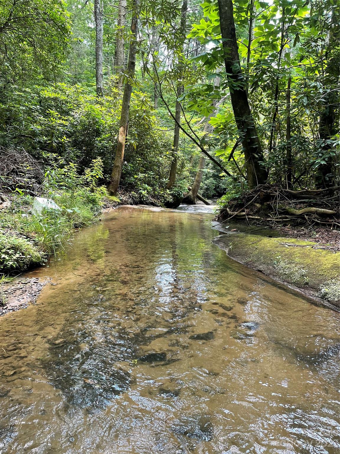 0 Old Mount Olivet Road Zirconia, NC 28790 - Photo 2 of 16 a view of a water pond with green space