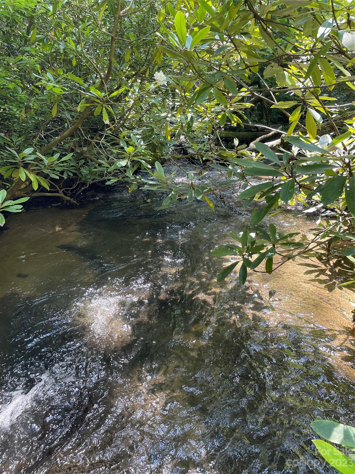 0 Old Mount Olivet Road Zirconia, NC 28790 - Photo 6 of 16 a view of water with a tree