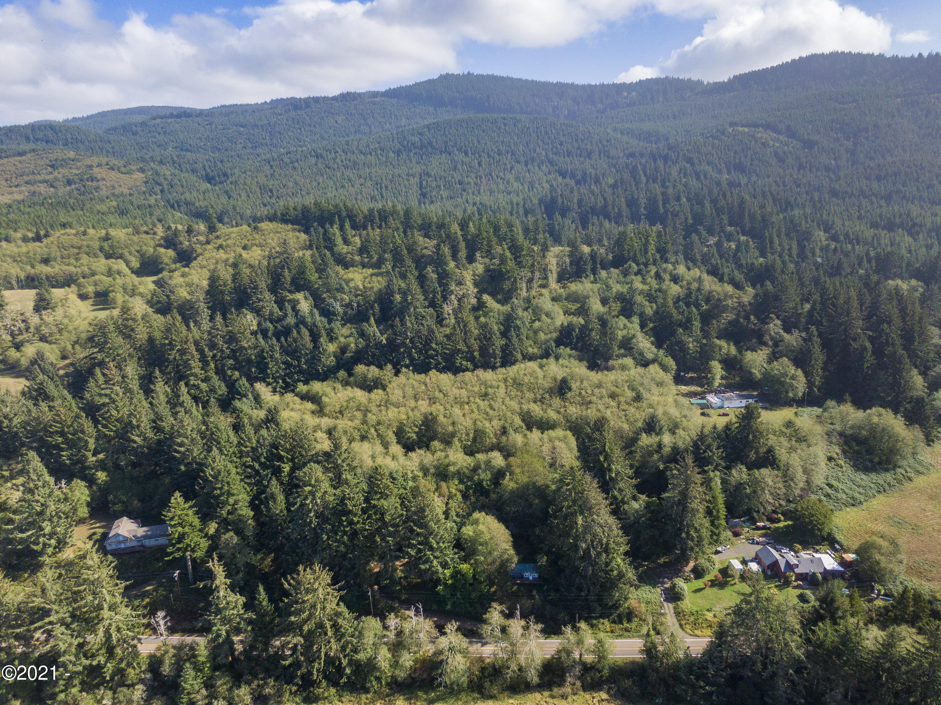 1100 Sandlake Road Cloverdale, OR 97112 - Photo 6 of 12 Coastal forest