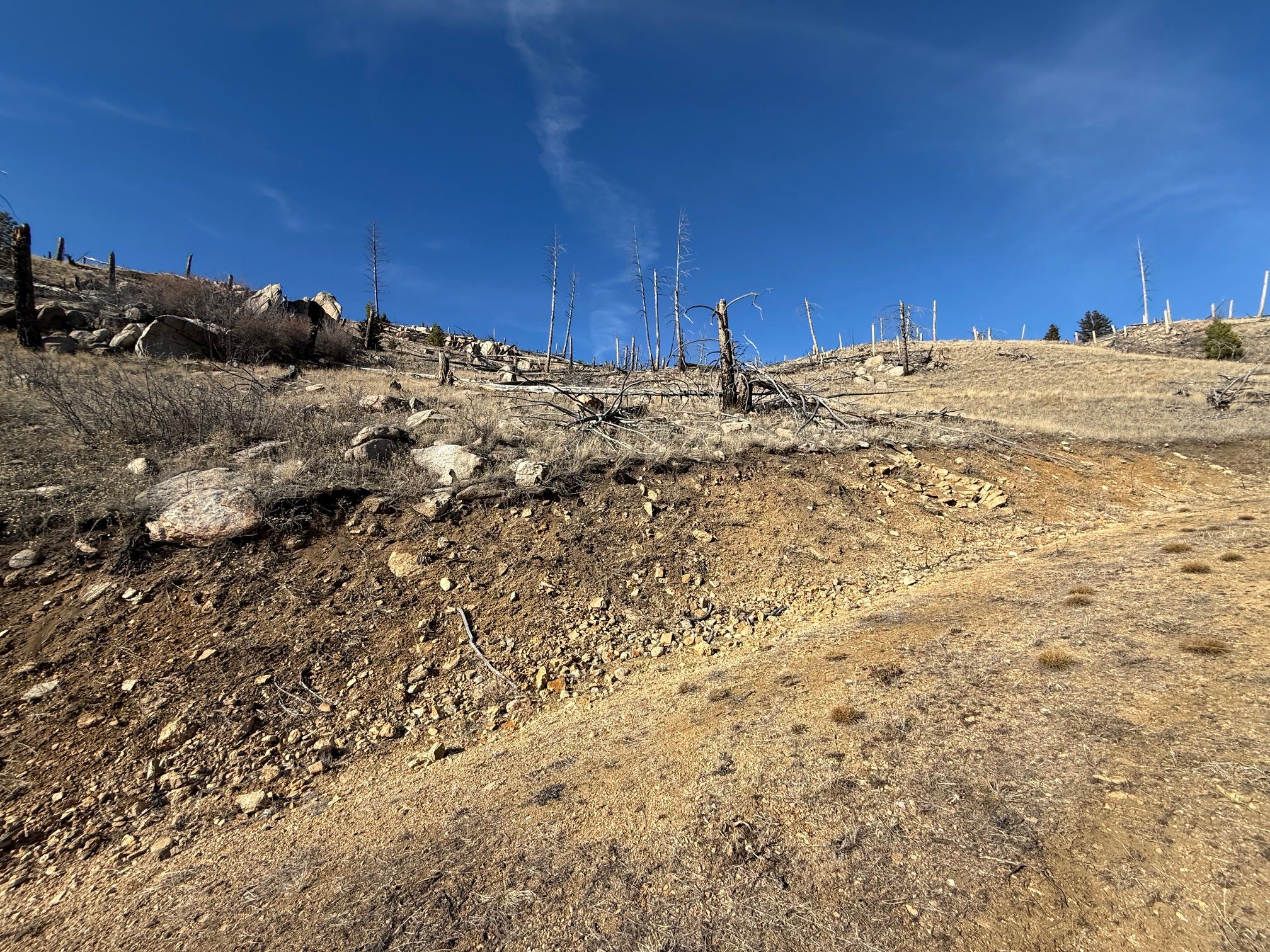 83 Nursery Creek Road Boulder, MT 59632 - Photo 51 of 62 View of NW Corner bordering State Land