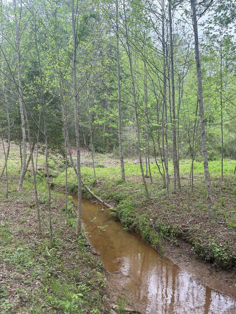 136 Caney Br Road Murphy, NC 28906 - Photo 35 of 41 Gallery Image 35