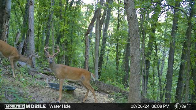 W4824 Puent Road Barre, WI 54601 - Photo 17 of 18 1546936-20240827011444-20240826180850_00