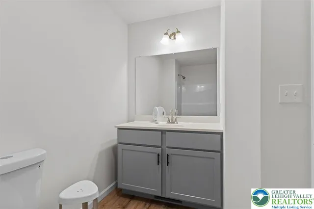 a bathroom with a sink toilet and vanity