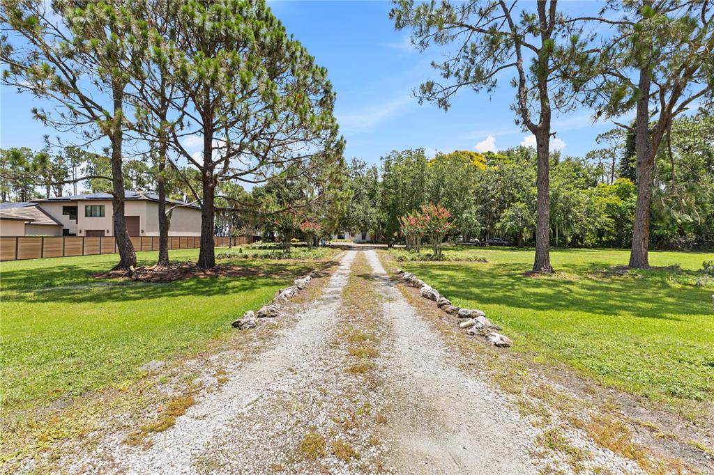 10355 Trout Road Orlando, FL 32836 - Photo 7 of 91