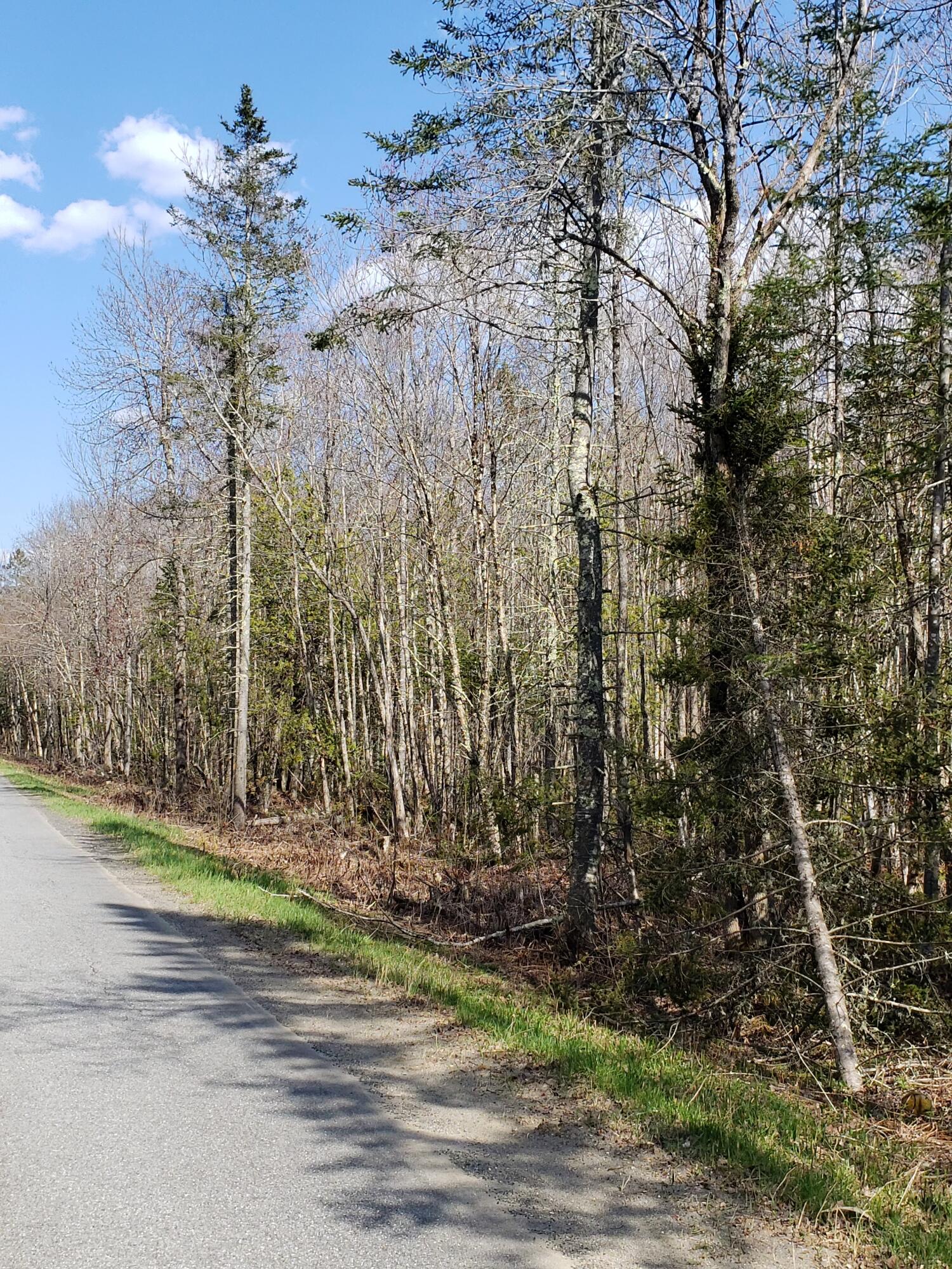 0 County Woods Road Newport, ME 04953 - Photo 4 of 13 5