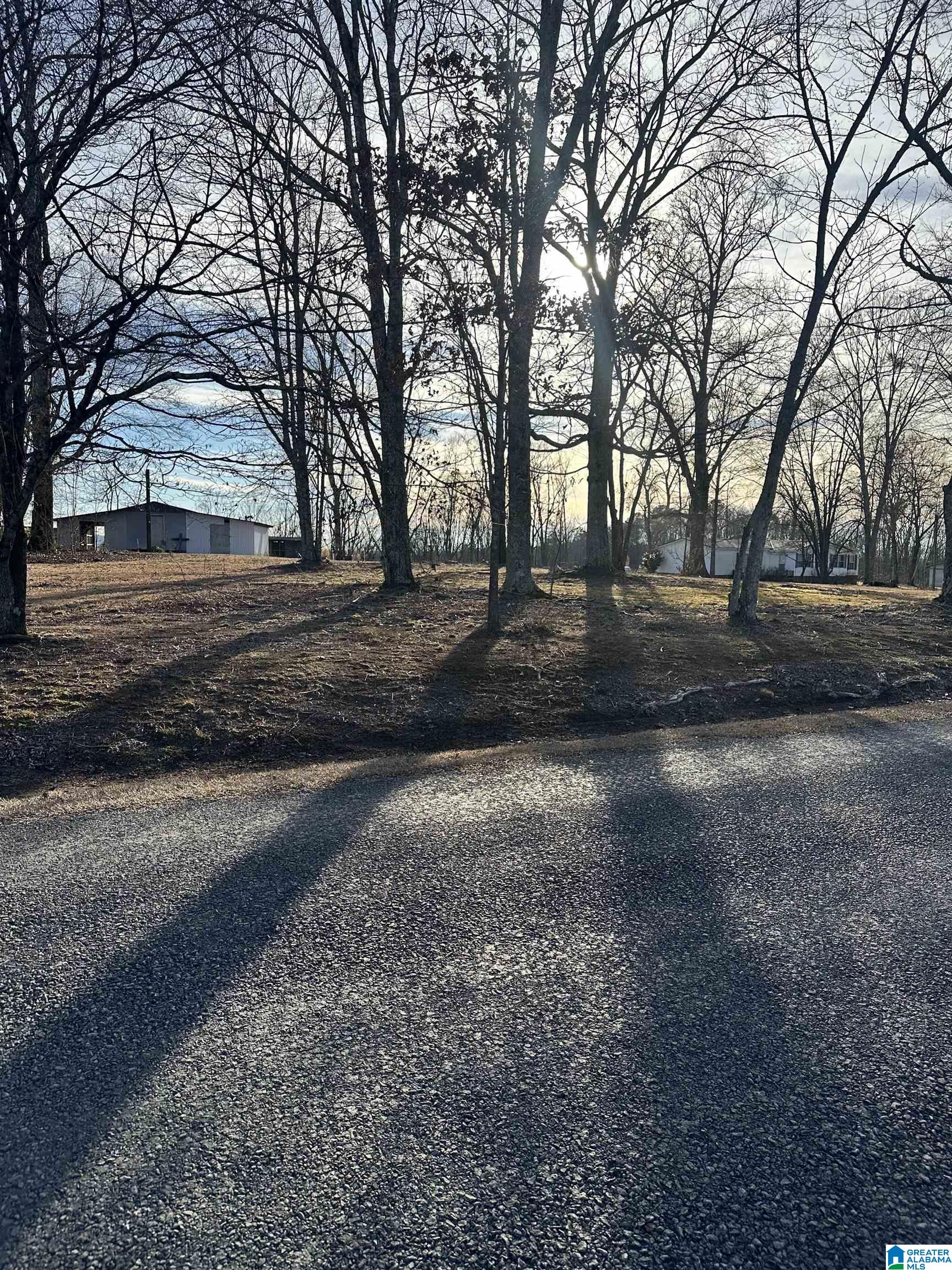 500 Haynes Road Altoona, AL 35952 - Photo 26 of 50