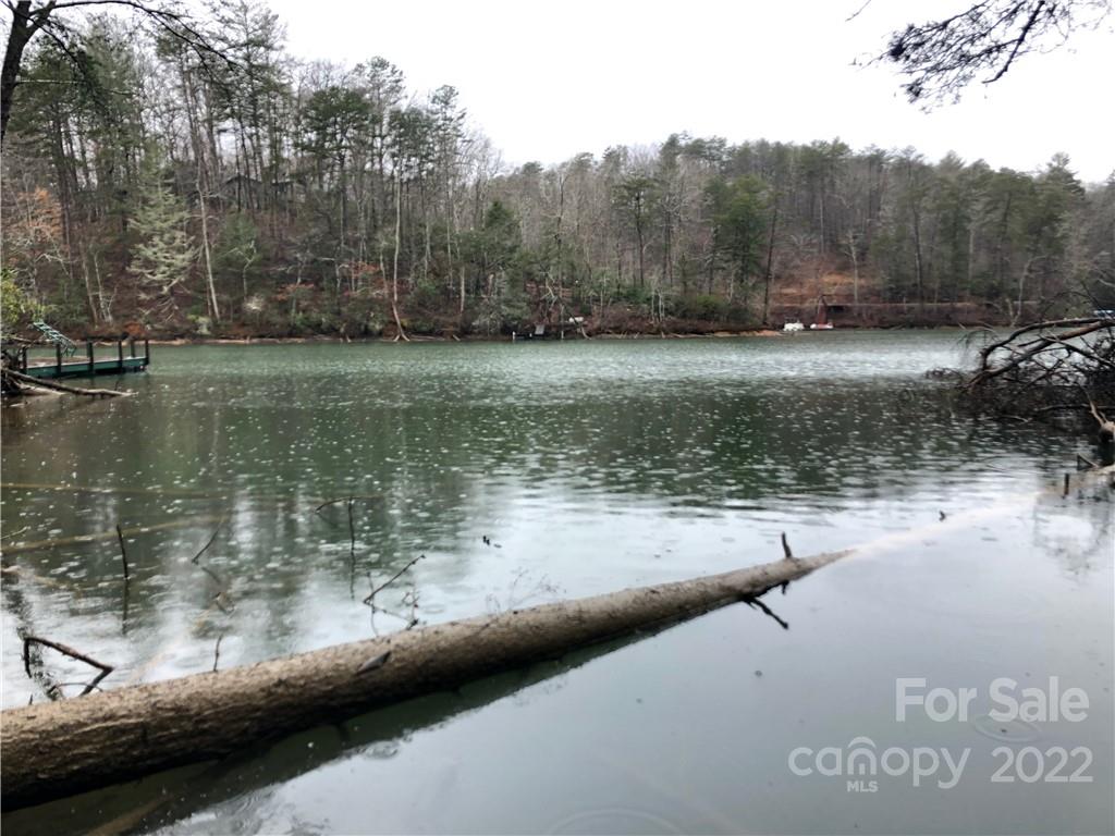 13 Hawk Ridge Drive Mill Spring, NC 28756 - Photo 2 of 10