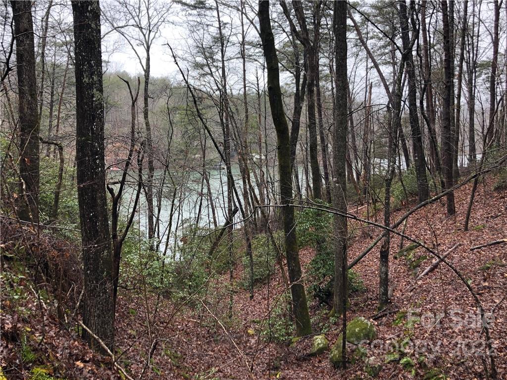 13 Hawk Ridge Drive Mill Spring, NC 28756 - Photo 3 of 10