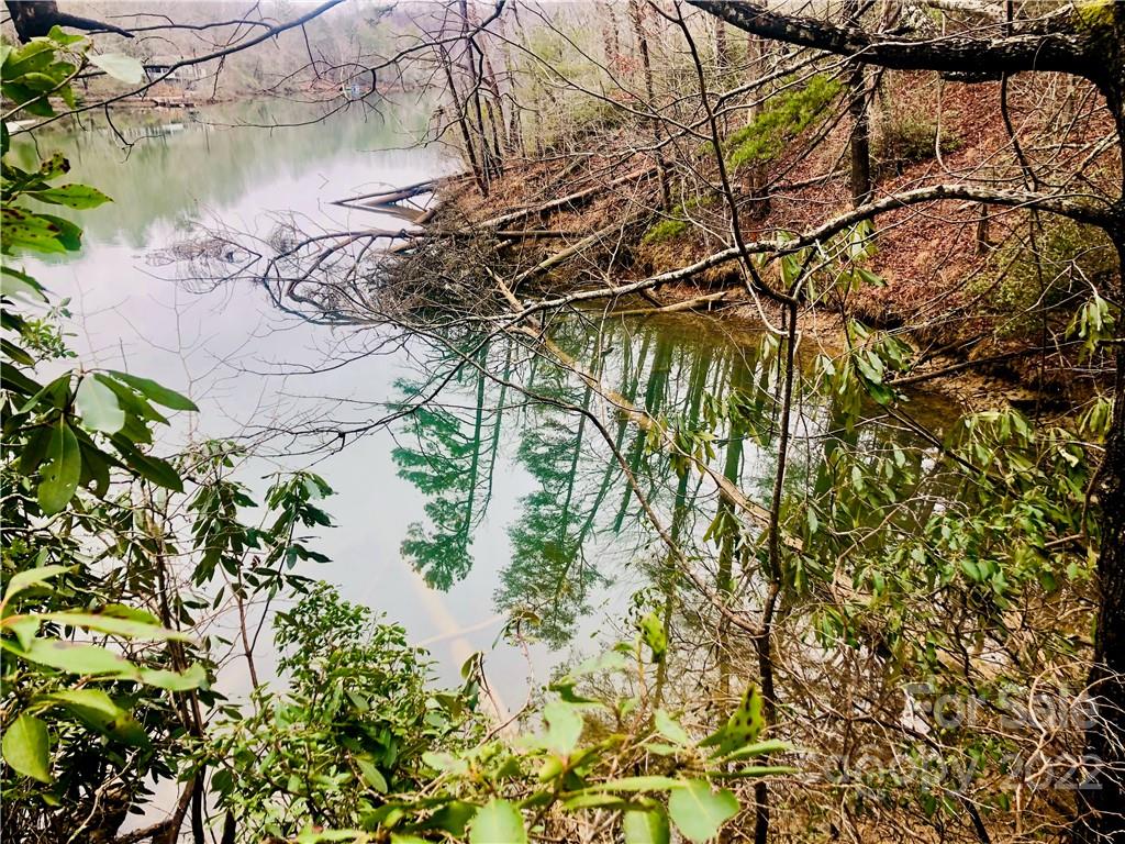 13 Hawk Ridge Drive Mill Spring, NC 28756 - Photo 5 of 10