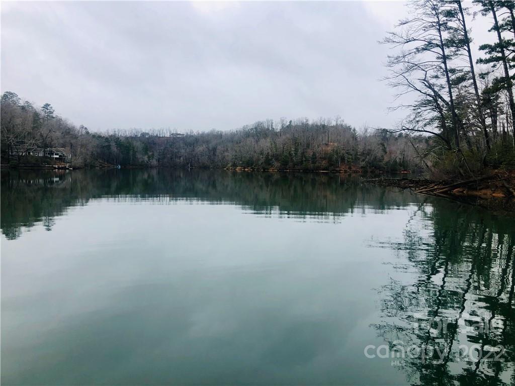 13 Hawk Ridge Drive Mill Spring, NC 28756 - Photo 6 of 10