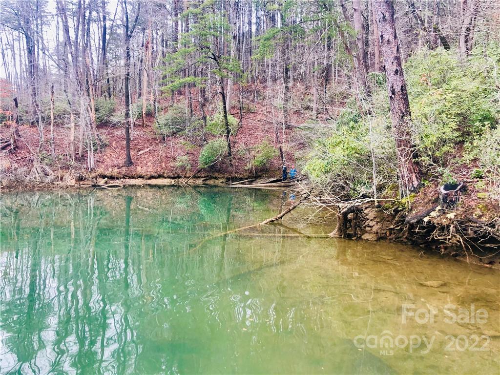 13 Hawk Ridge Drive Mill Spring, NC 28756 - Photo 7 of 10