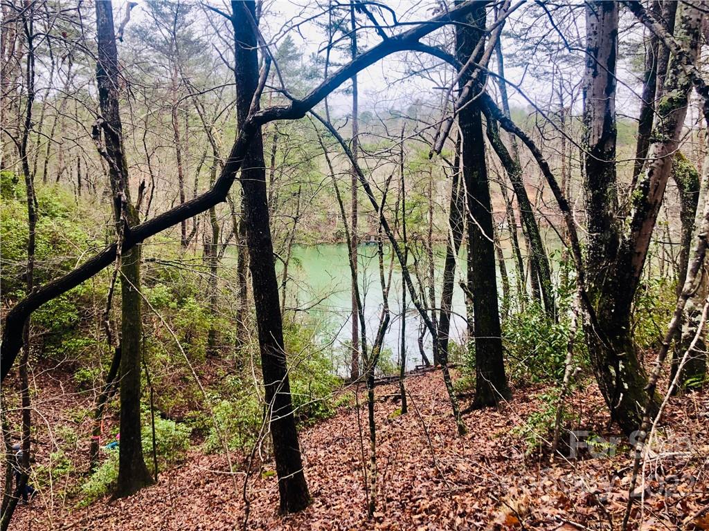 13 Hawk Ridge Drive Mill Spring, NC 28756 - Photo 8 of 10