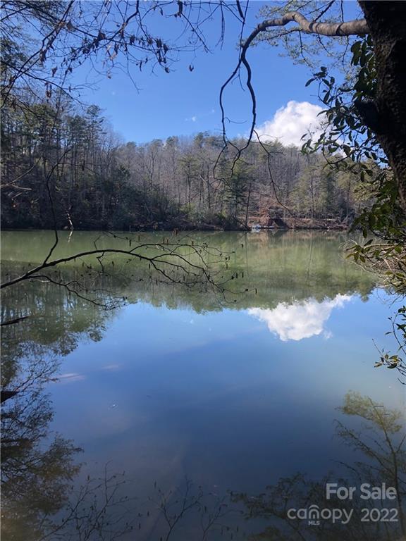 13 Hawk Ridge Drive Mill Spring, NC 28756 - Photo 9 of 10