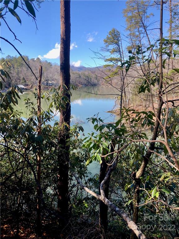 13 Hawk Ridge Drive Mill Spring, NC 28756 - Photo 10 of 10