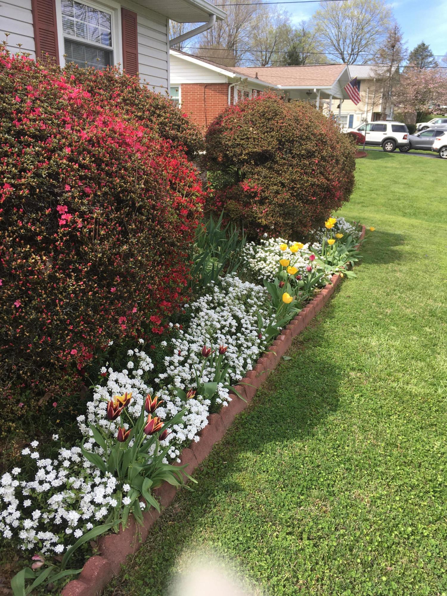 3415 Sprucewood Road Knoxville, TN 37921 - Photo 5 of 9 Front Spring Flowers