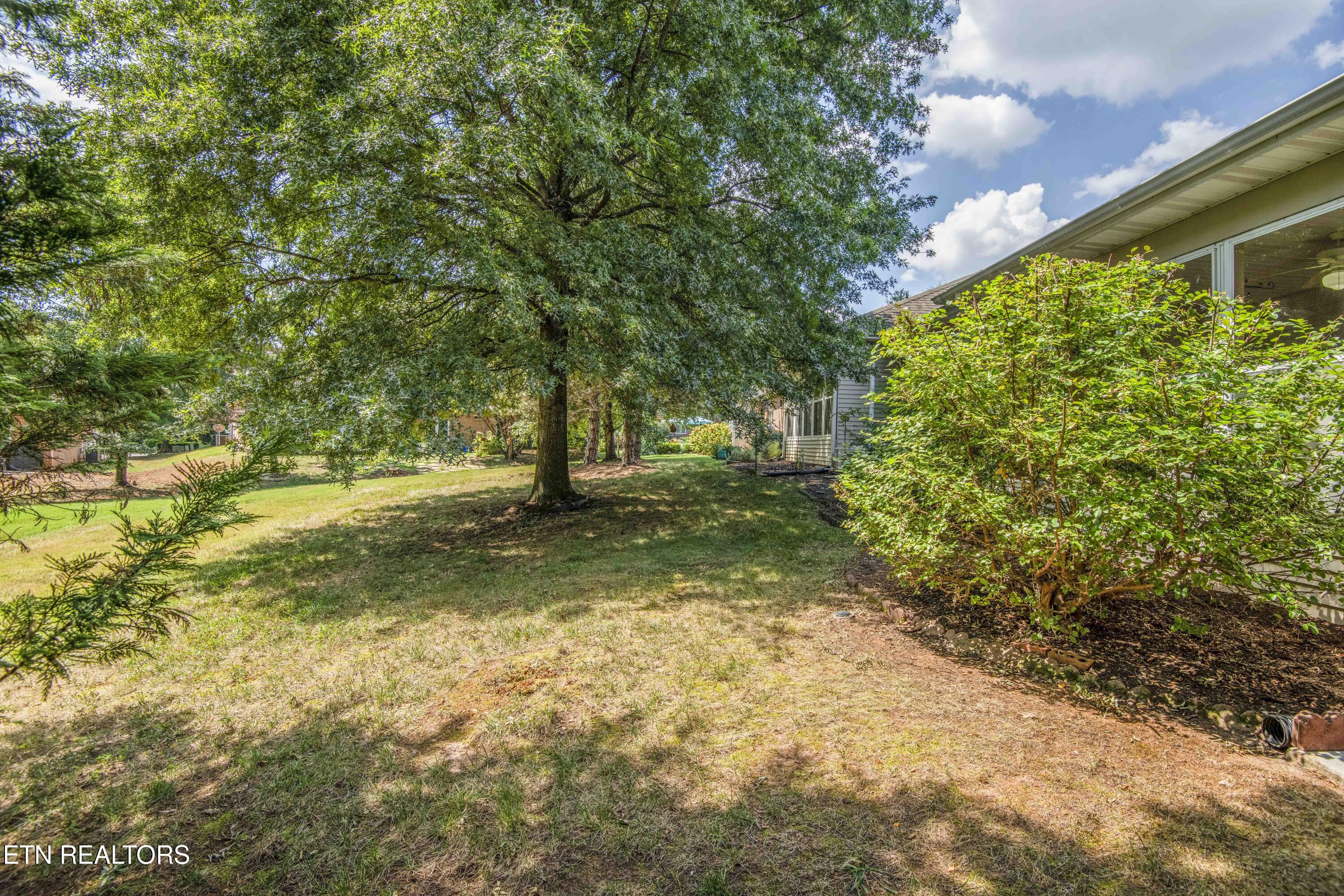 11204 Kilpatrick Way Knoxville, TN 37932 - Photo 47 of 49 yard 2_1