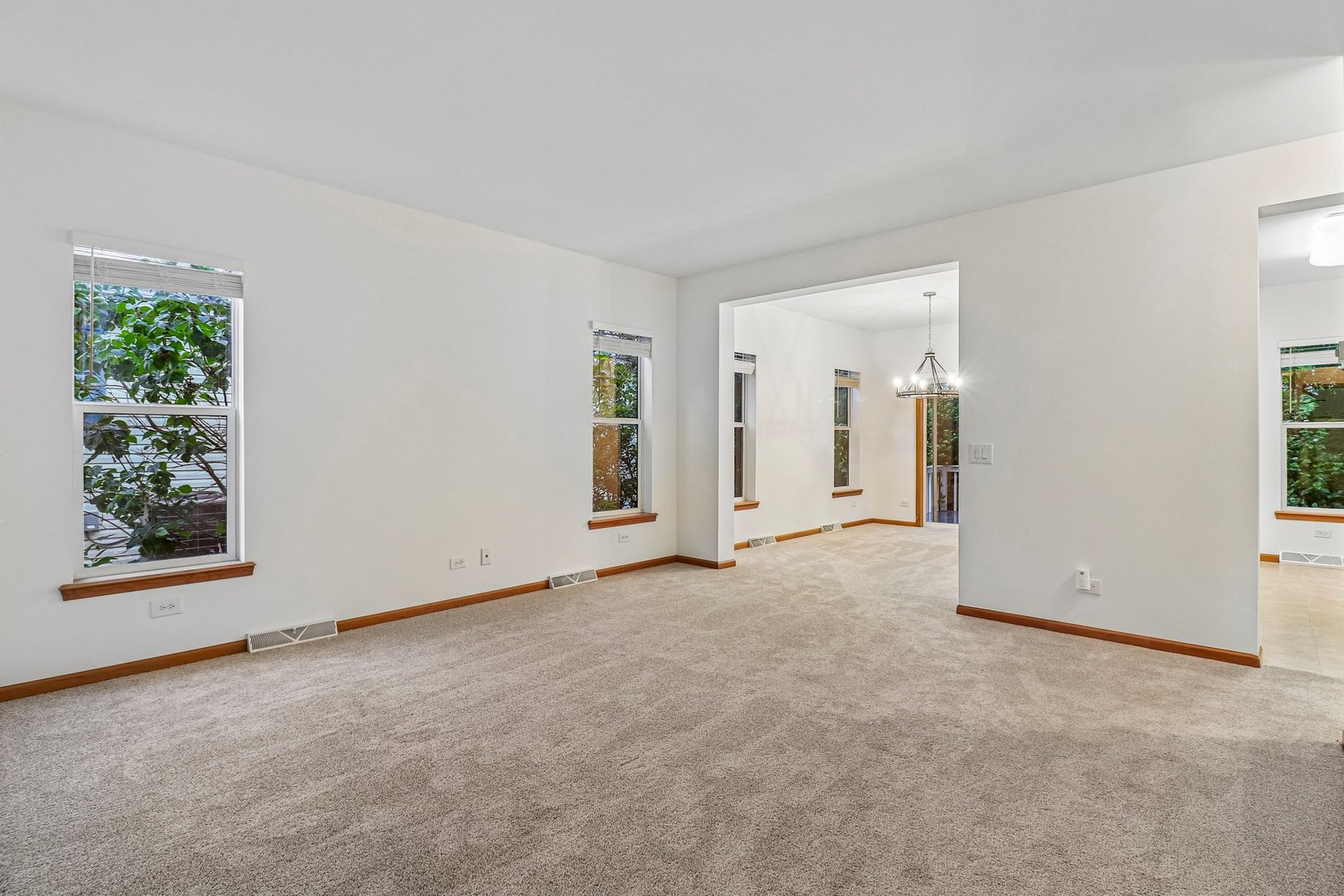 227 Rodeo Drive Grayslake, IL 60030 - Photo 6 of 30