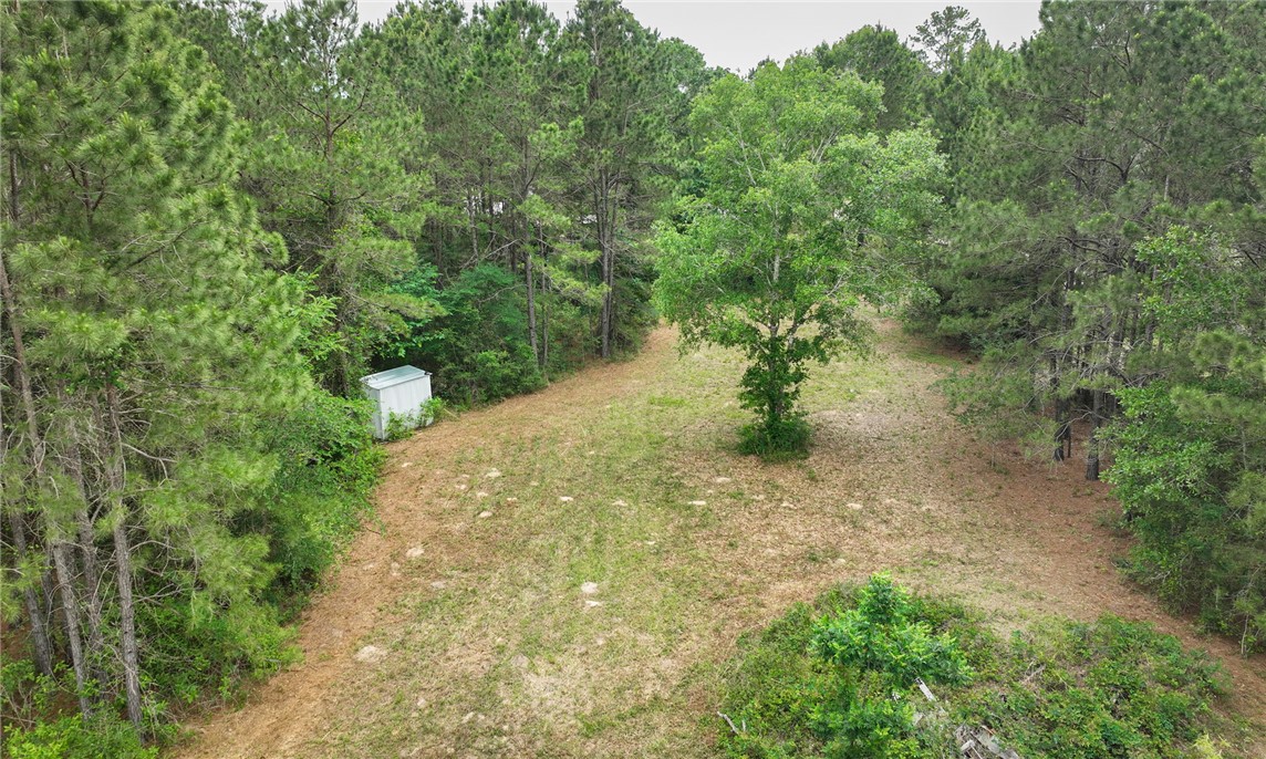 5914 Carter Road Waller, TX 77484 - Photo 2 of 41