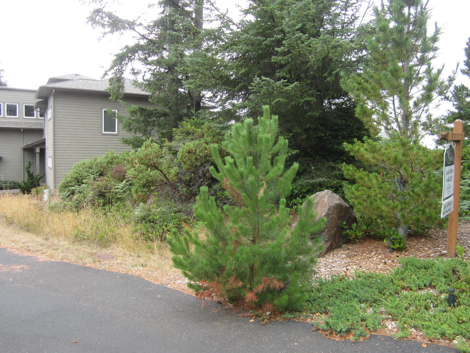 Lot Ridgewood Ridgewood Road Tillamook, OR 97141 - Photo 3 of 6 Lot