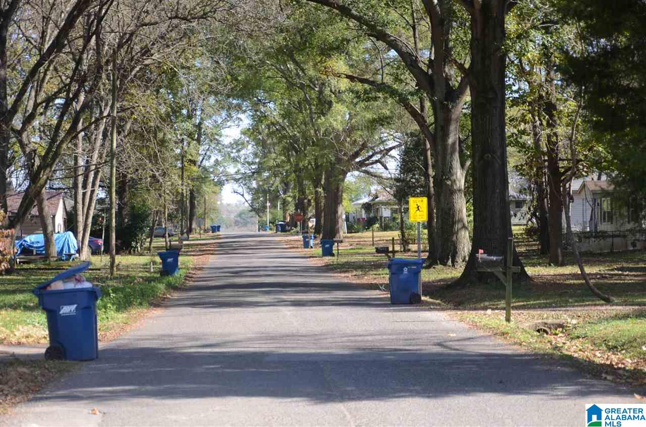 220 Gwin Avenue Bessemer, AL 35023 - Photo 13 of 24