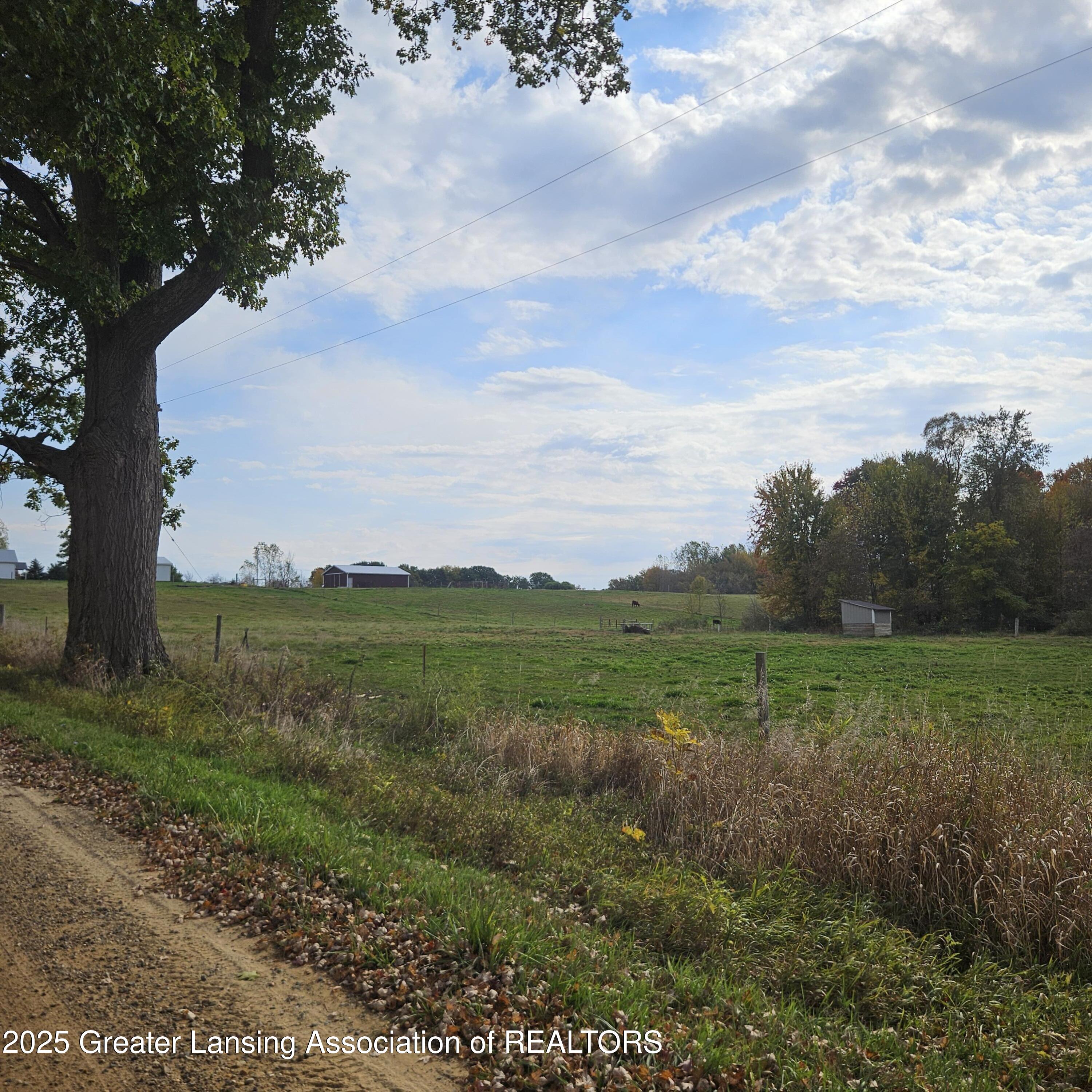 0 Elm Road Olivet, MI 49076 - Photo 24 of 26 20251018_123340
