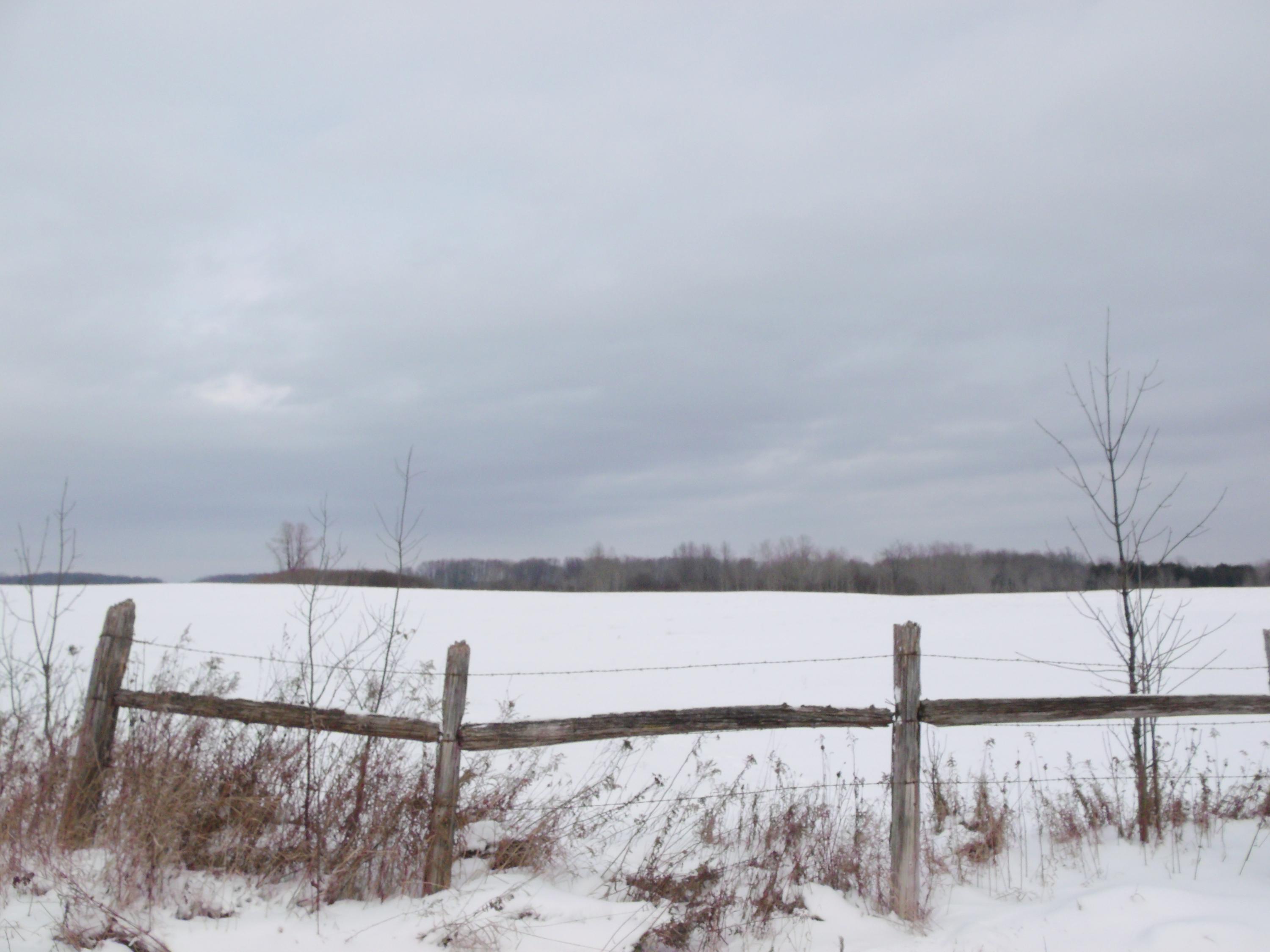 Sauer Road Hillman, MI 49746 - Photo 1 of 14 Gallery Image 1