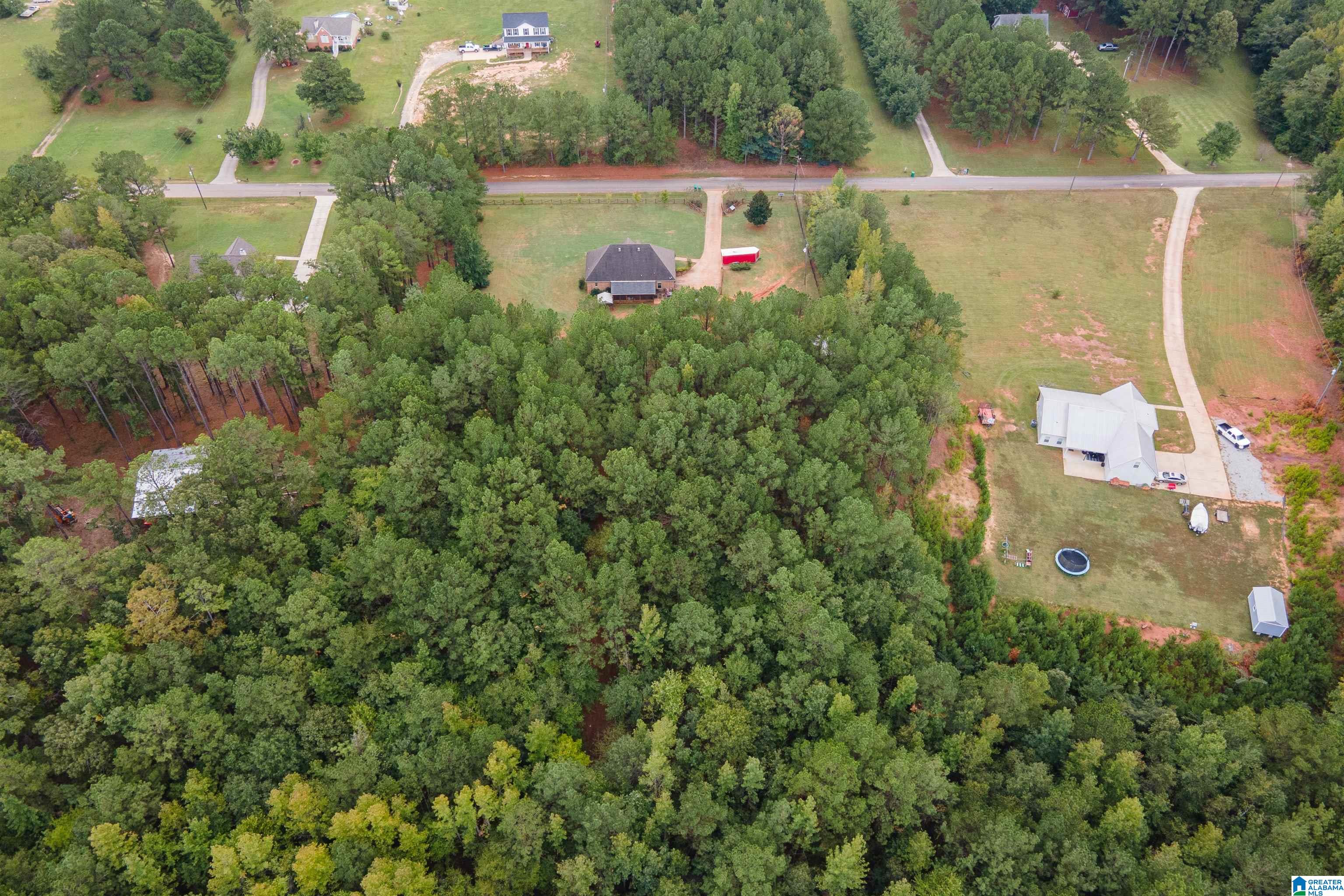 20534 Cathedral Lane McCalla, AL 35111 - Photo 45 of 51