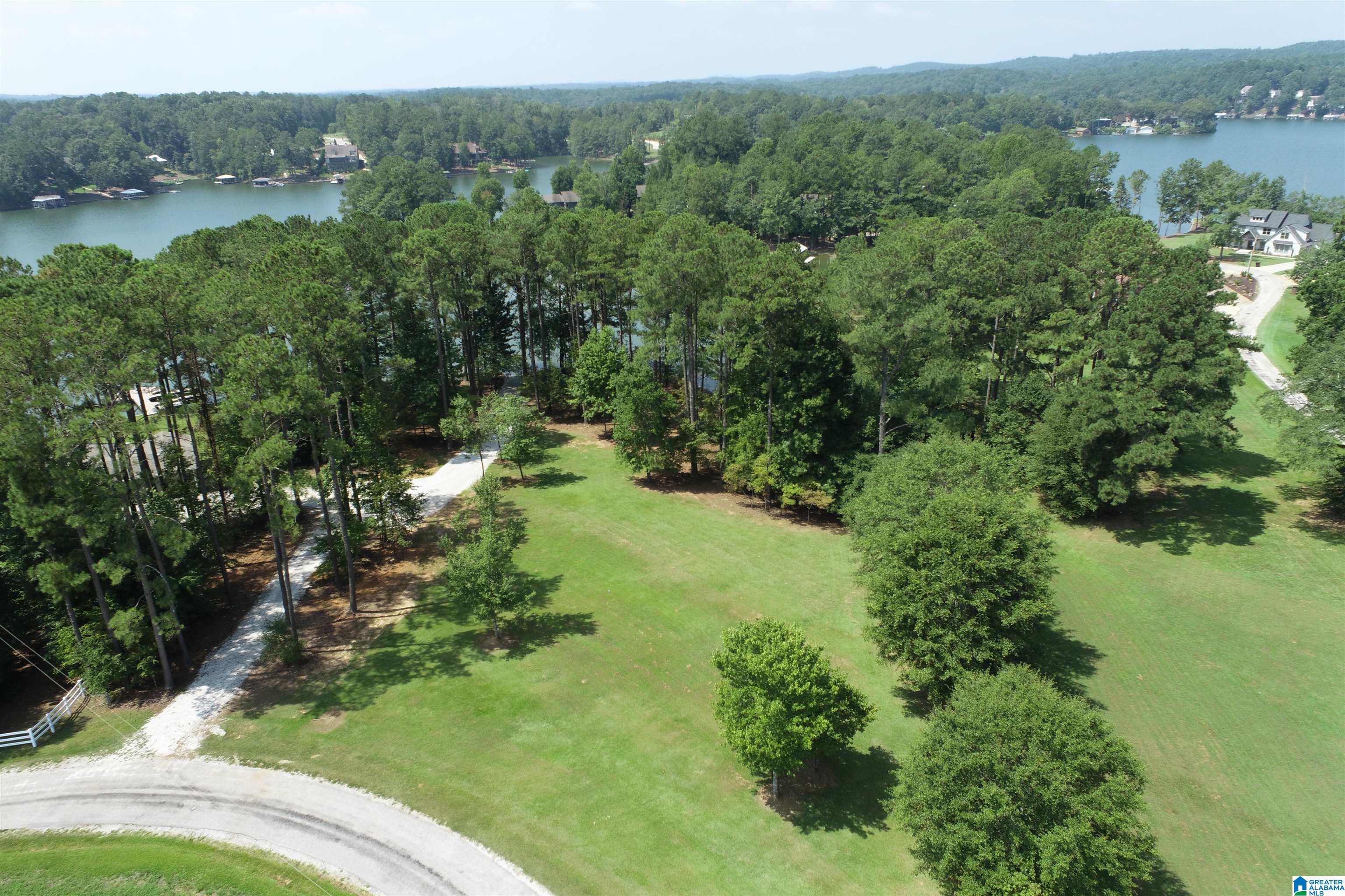 0 Wylie Road Wedowee, AL 36278 - Photo 4 of 10