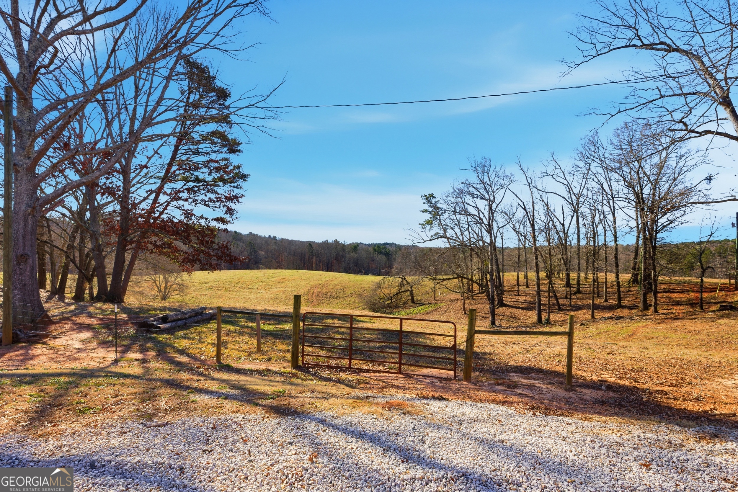 281 Line Road Toccoa, GA 30577 - Photo 73 of 93 a view of a bench under a large tree