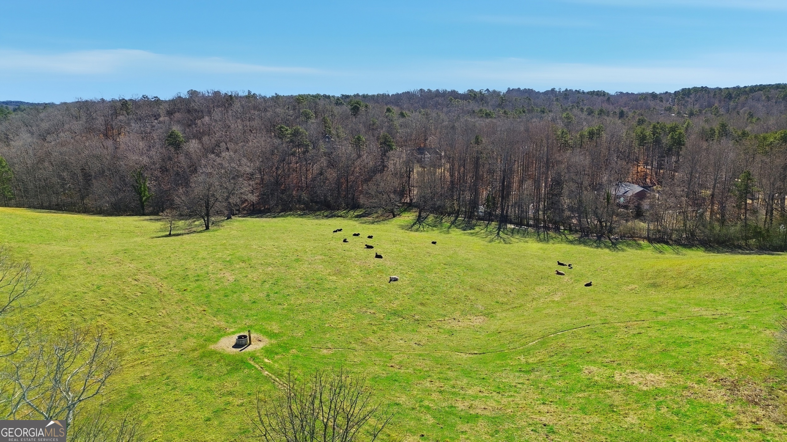 281 Line Road Toccoa, GA 30577 - Photo 80 of 93