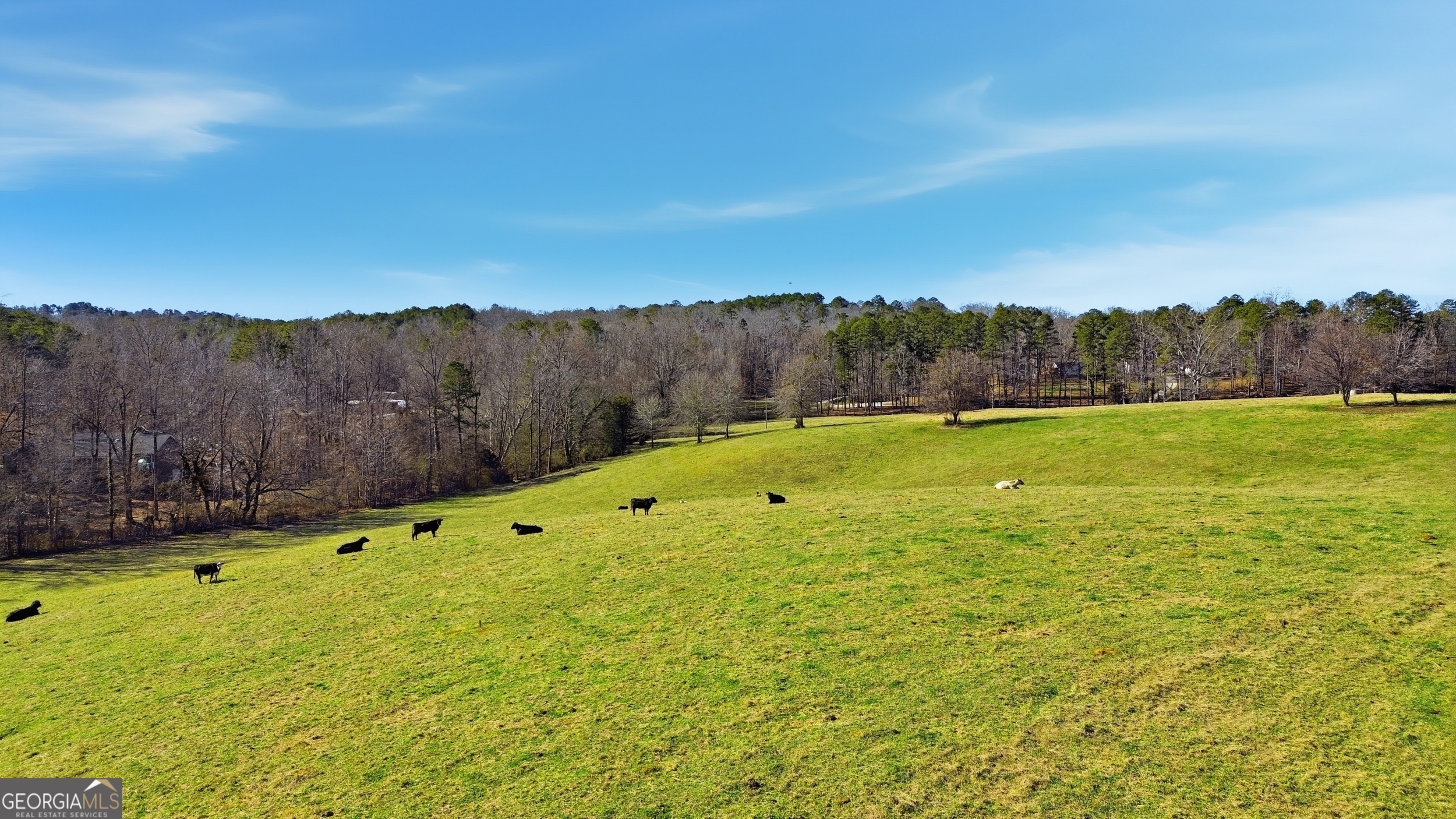 281 Line Road Toccoa, GA 30577 - Photo 84 of 93