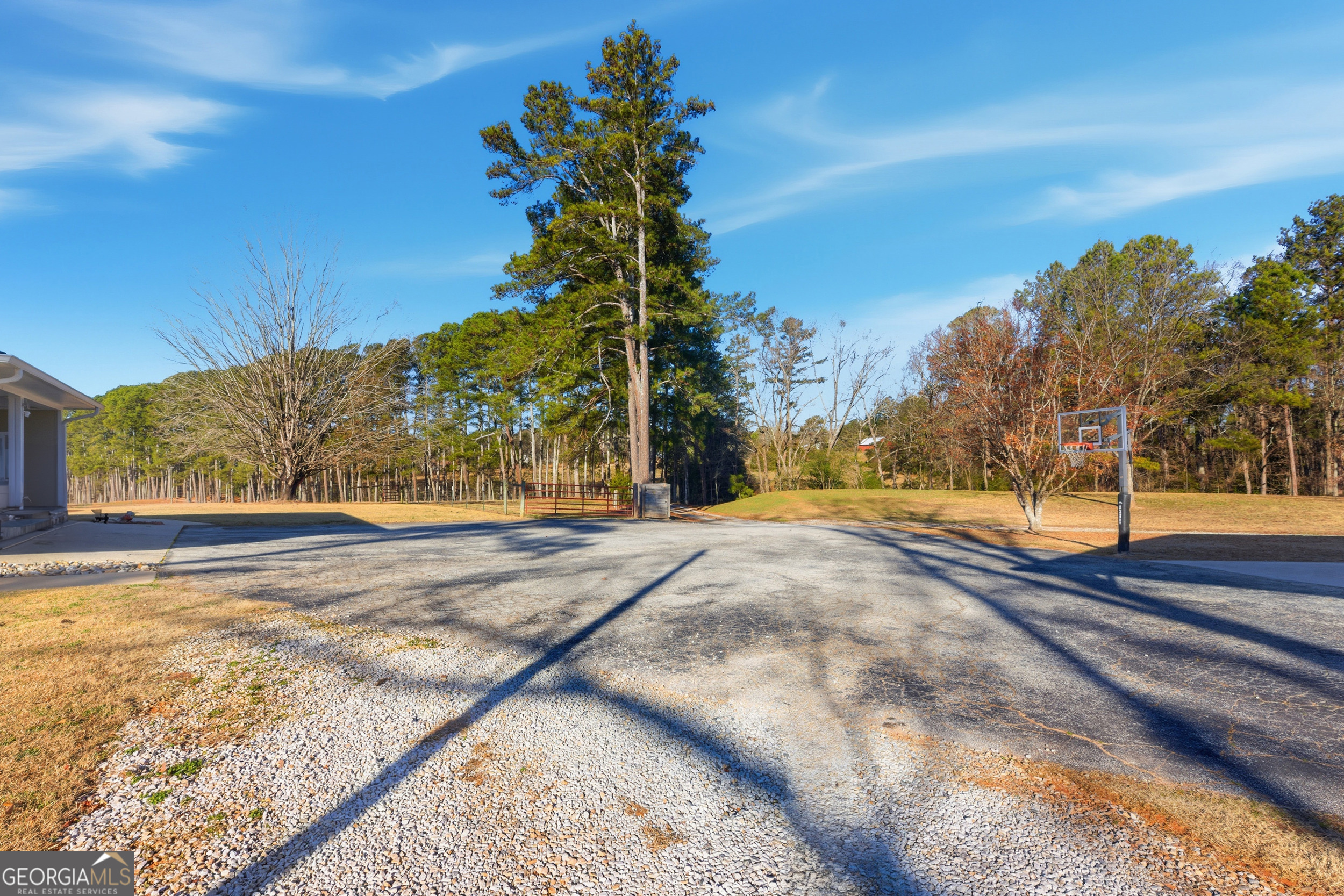 281 Line Road Toccoa, GA 30577 - Photo 86 of 93 a view of a yard with large trees