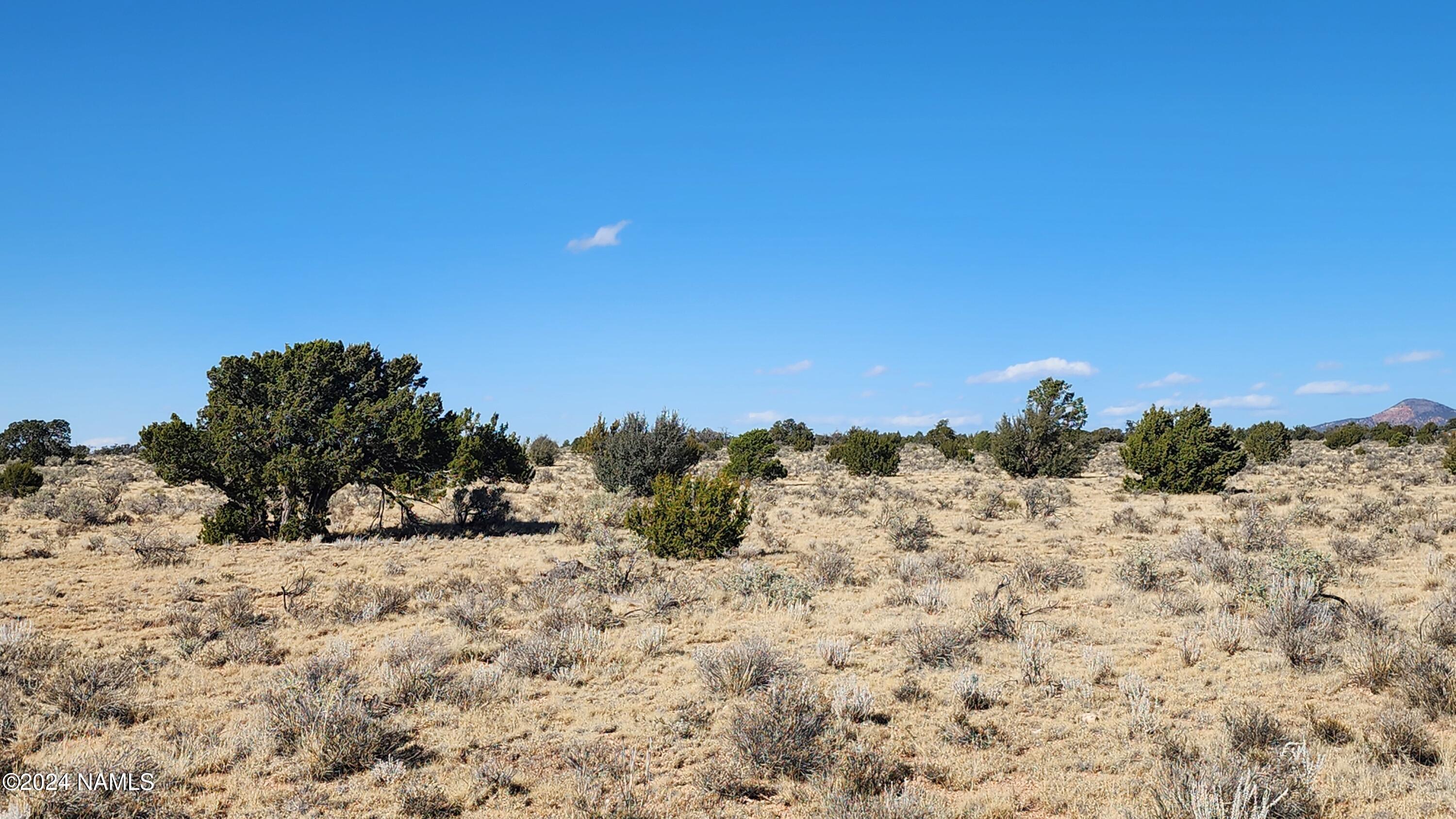 3433 Red Butte Road Williams, AZ 86046 - Photo 1 of 10 a view of a covered with snow in the background
