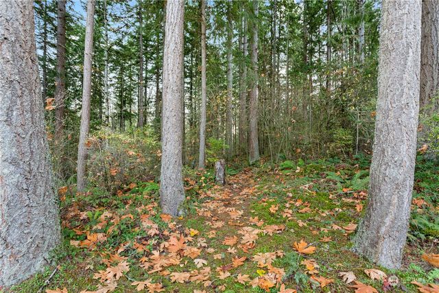 a view of a patio with a table and chairs under an umbrella
